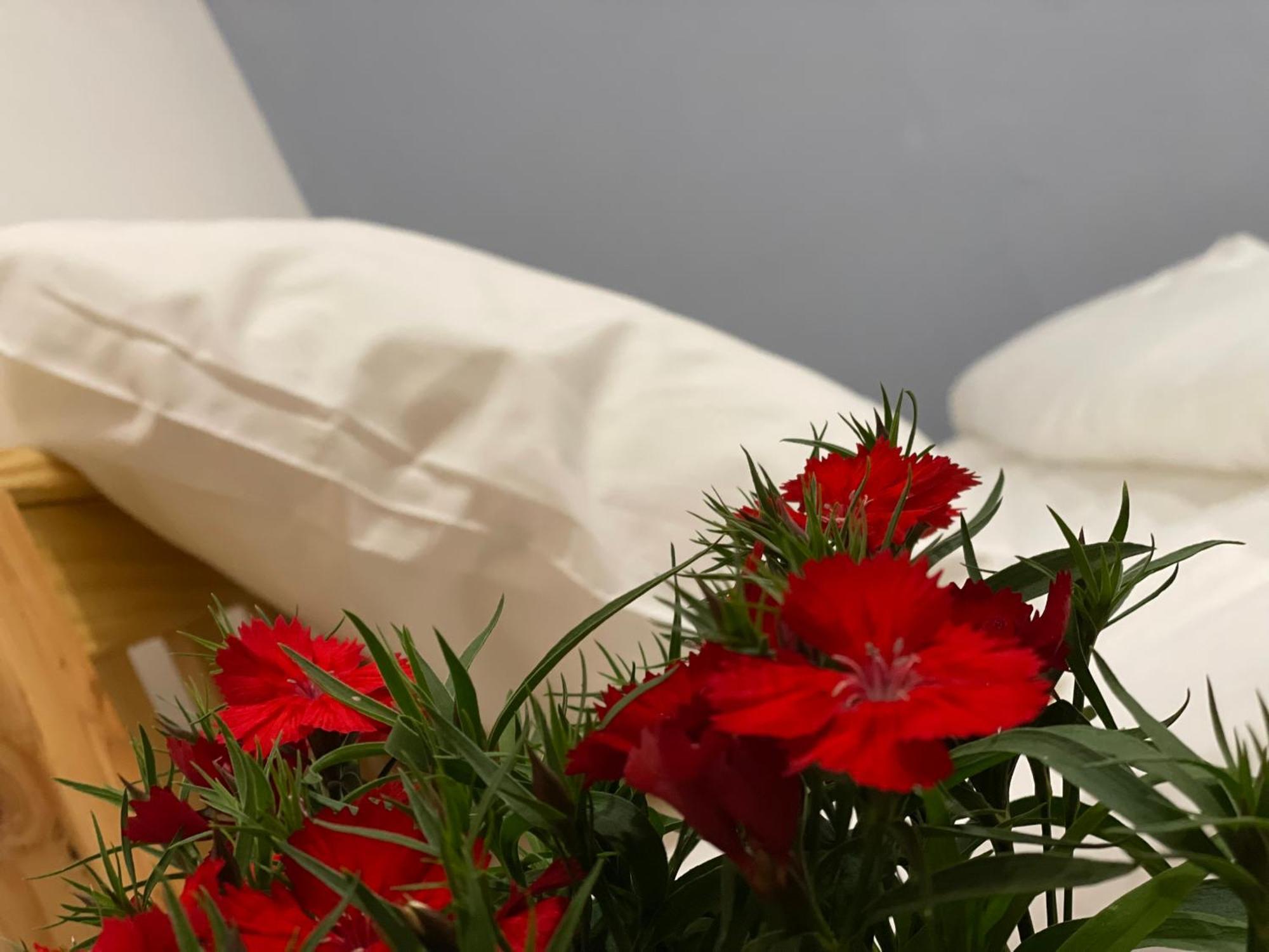 Pleiku Homestay Chambre photo